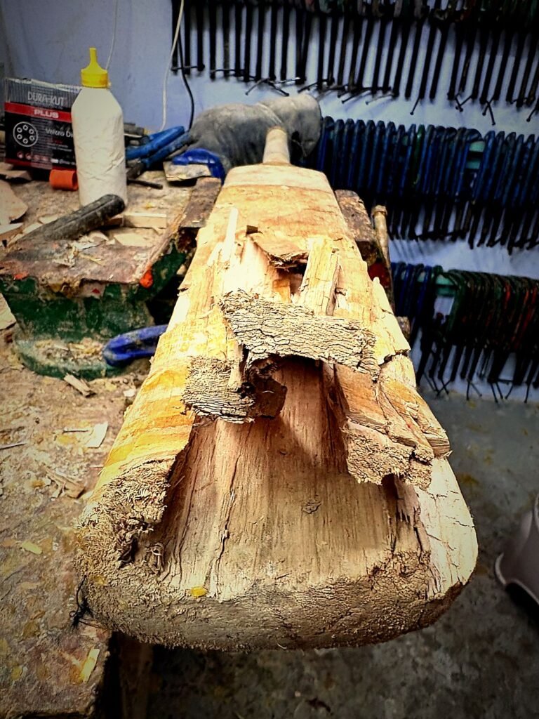 Cricket bat with split blade — before repair